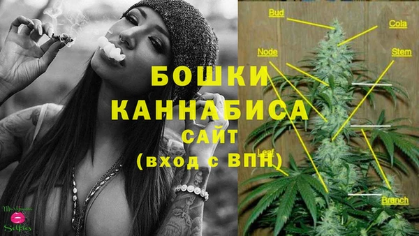 винт Баксан