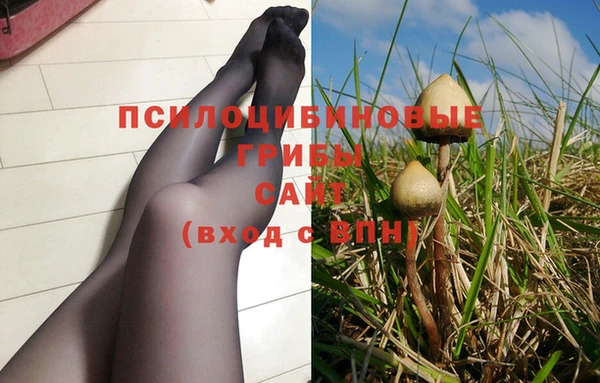 гидра Сатка