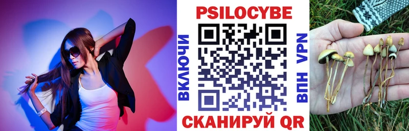 магазин    Зима  Галлюциногенные грибы Magic Shrooms 