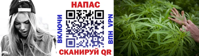 купить наркотик  Зима  Канабис Bruce Banner 